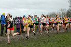 Senior girls 2019 New Balance English Schools Cross Country Champs, Temple Newsam, Leeds. Photo:  David T. Hewitson/Sports for All Pics